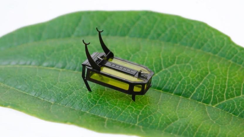 USC's micro-robot RoBeetle